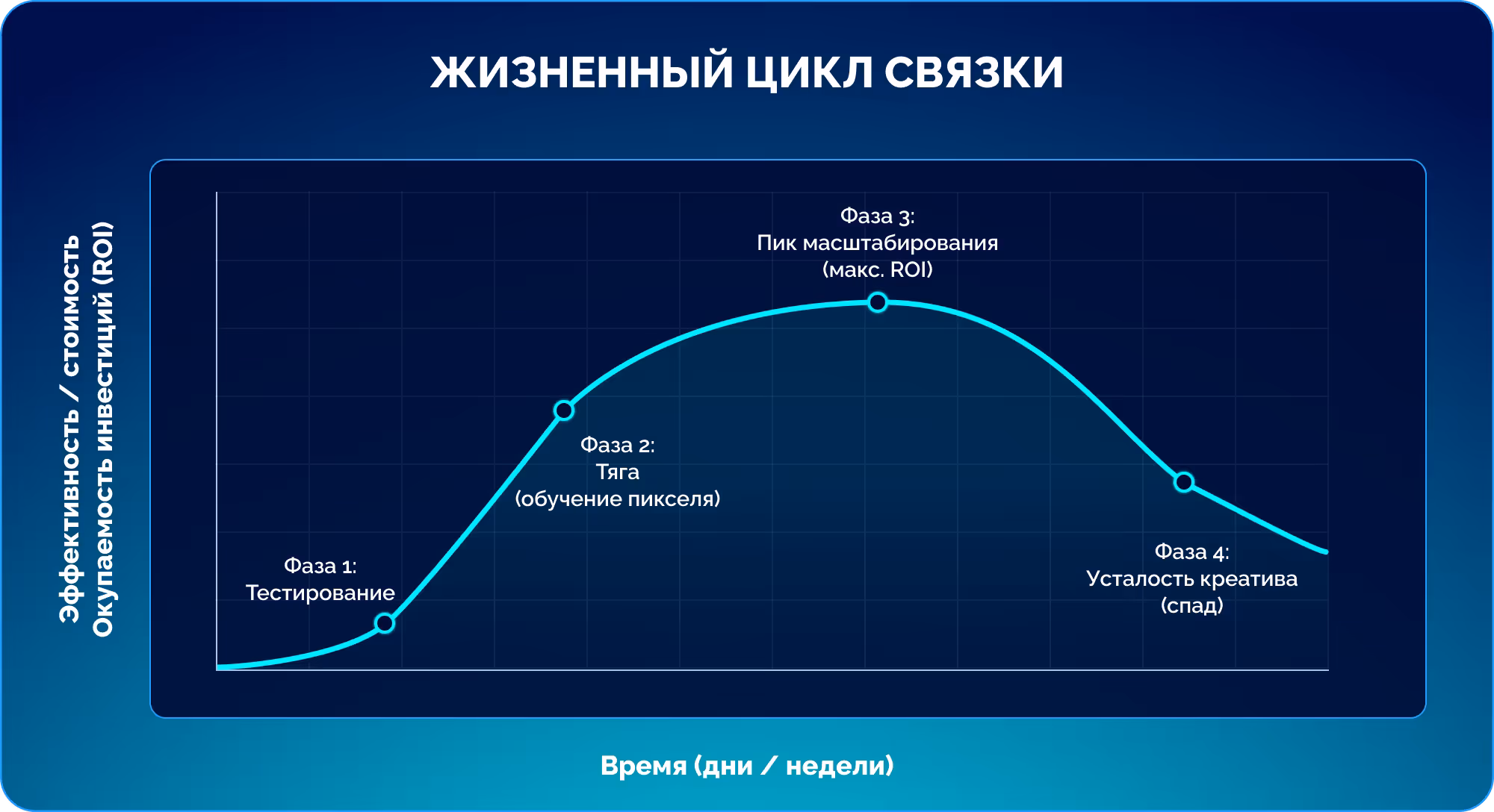 Сколько живет связка