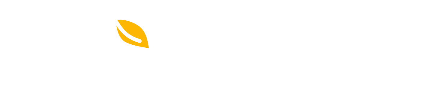 MangoProxy